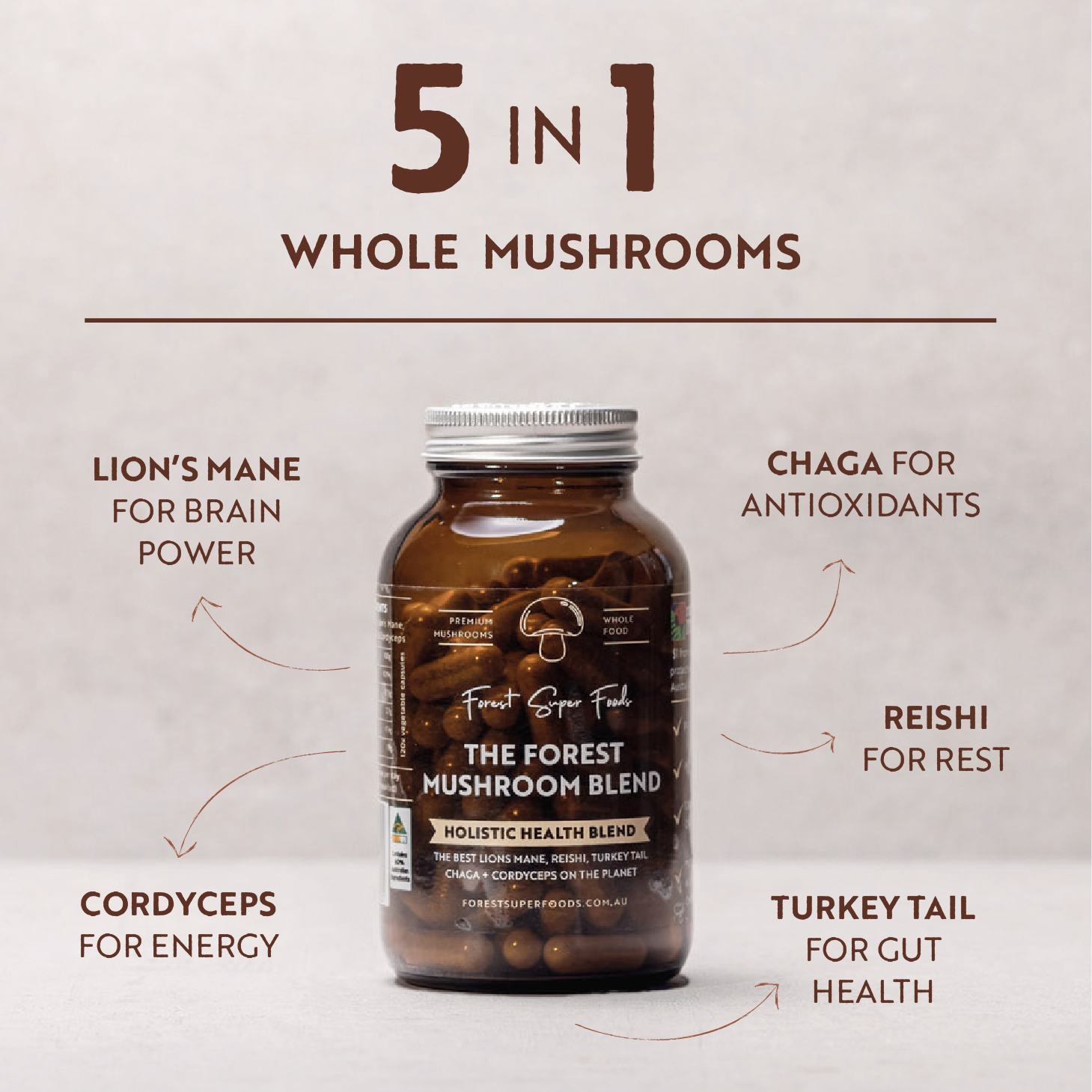 Forest Mushroom Blend Powder