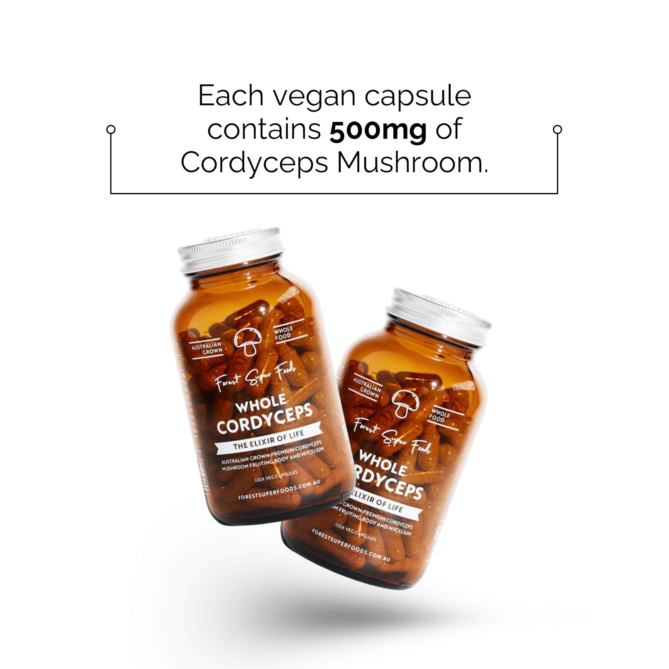 Australian Grown Cordyceps Mushroom