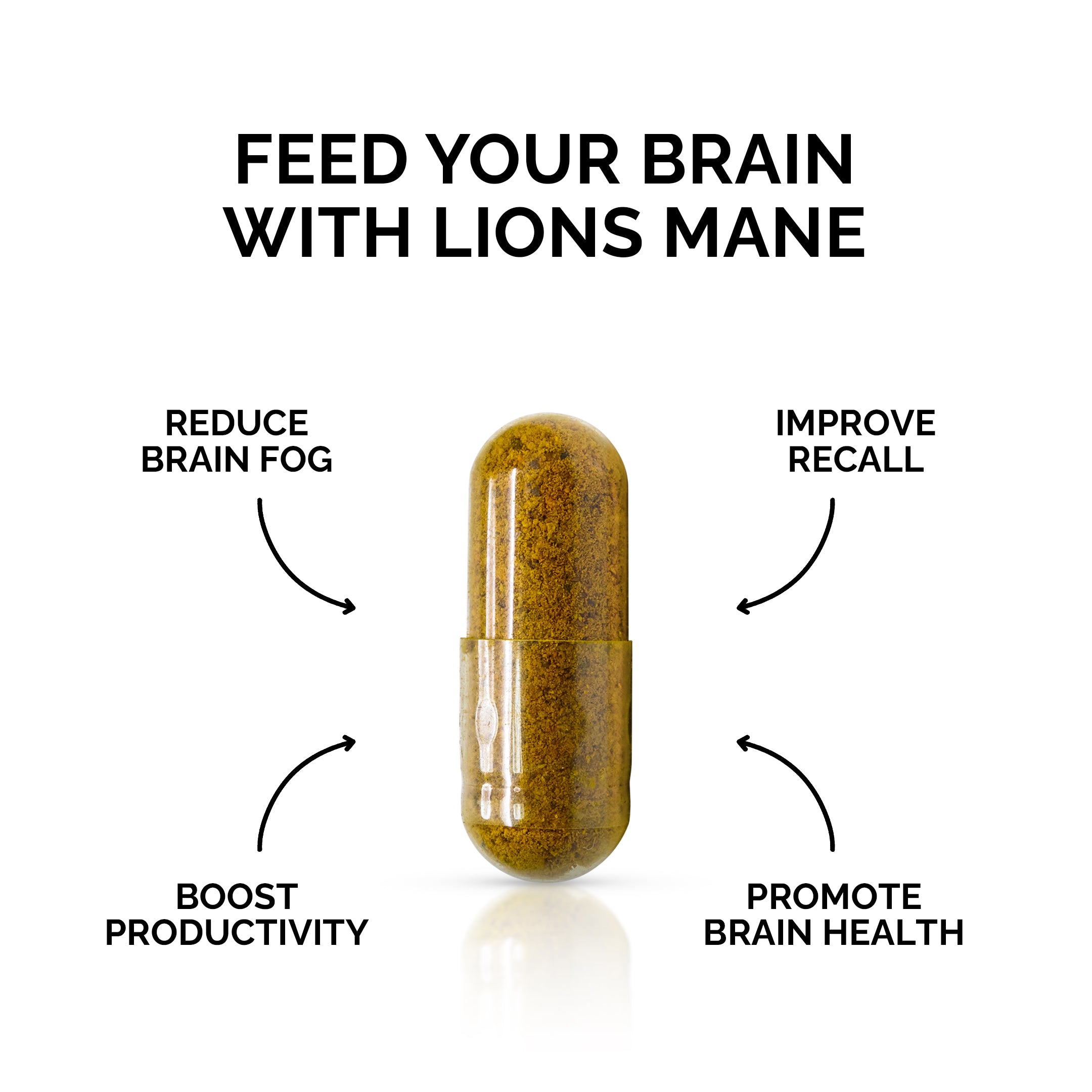 The best Lions Mane Mushroom supplement for reducing brain fog and improving productivity
