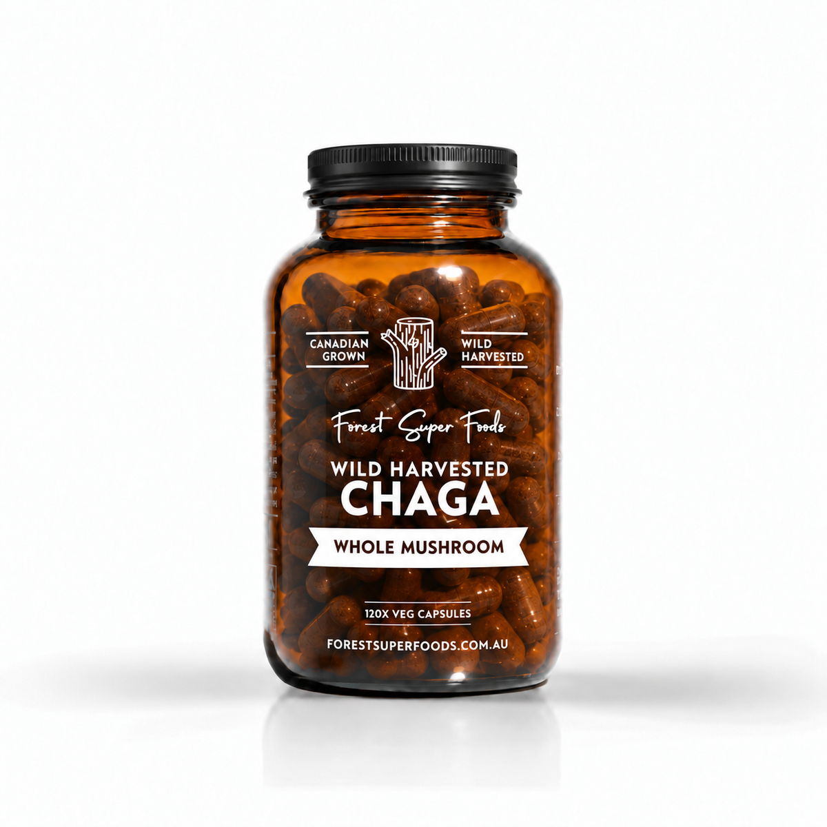 Wild Chaga Mushroom (Canada)