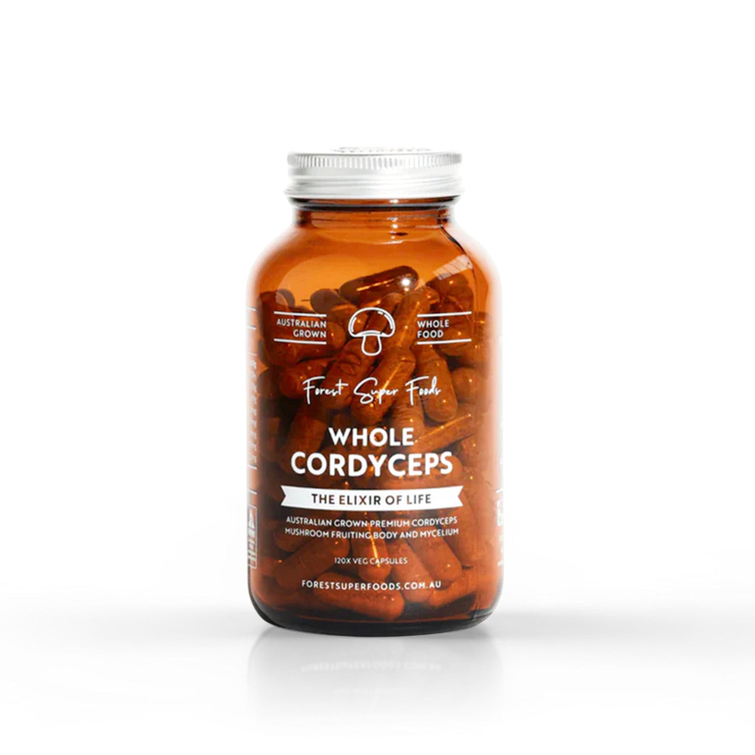 The Benefits of Cordyceps: Nature’s Energy Mushroom