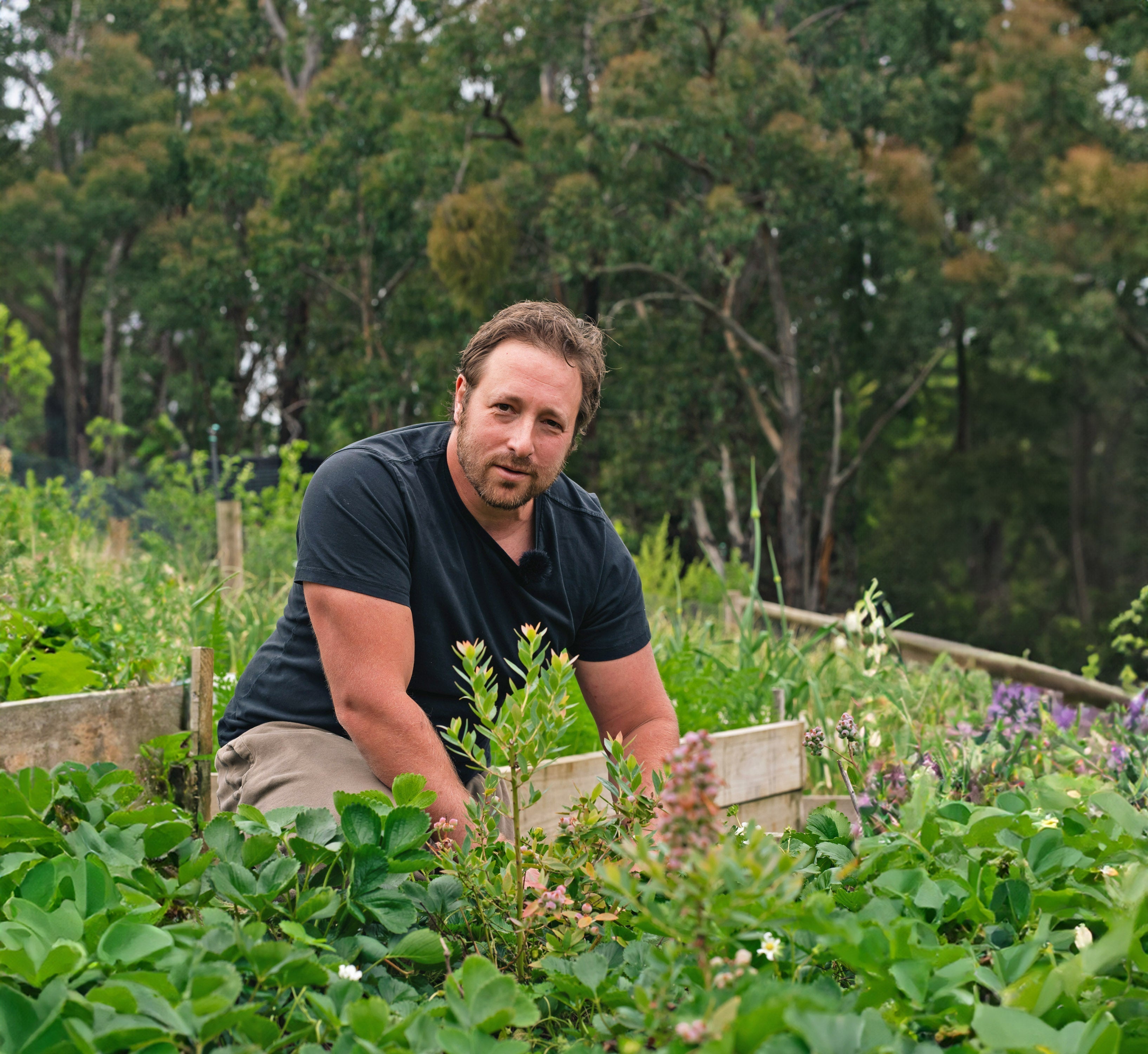 The 4 supplements I take every day as the founder of Forest Super Foods
