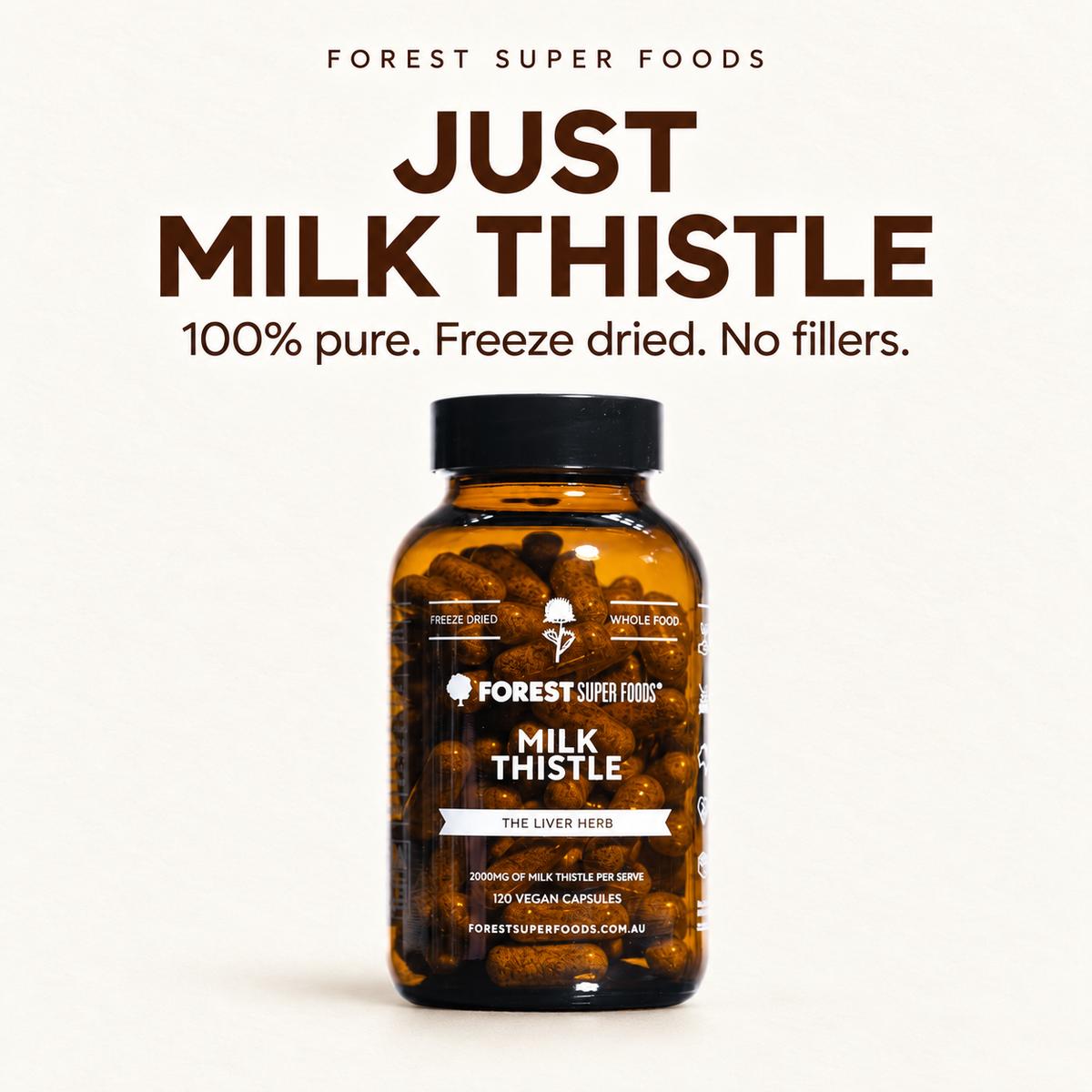 Milk Thistle