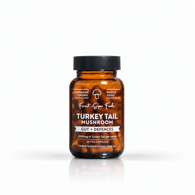 Mini Turkey Tail Capsules