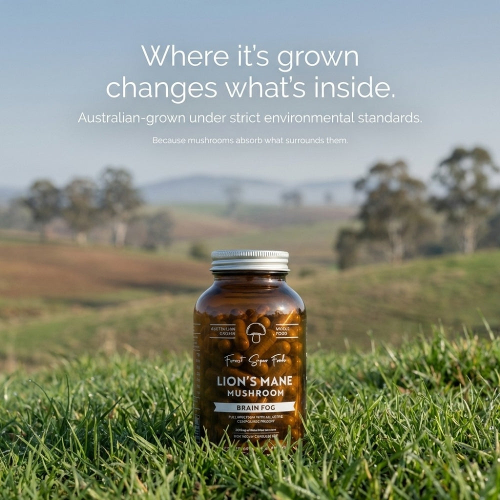 Australian Grown Lions Mane Mushroom Capsules